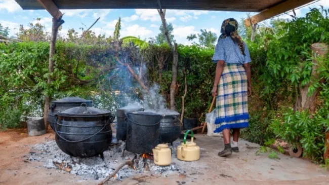cooking